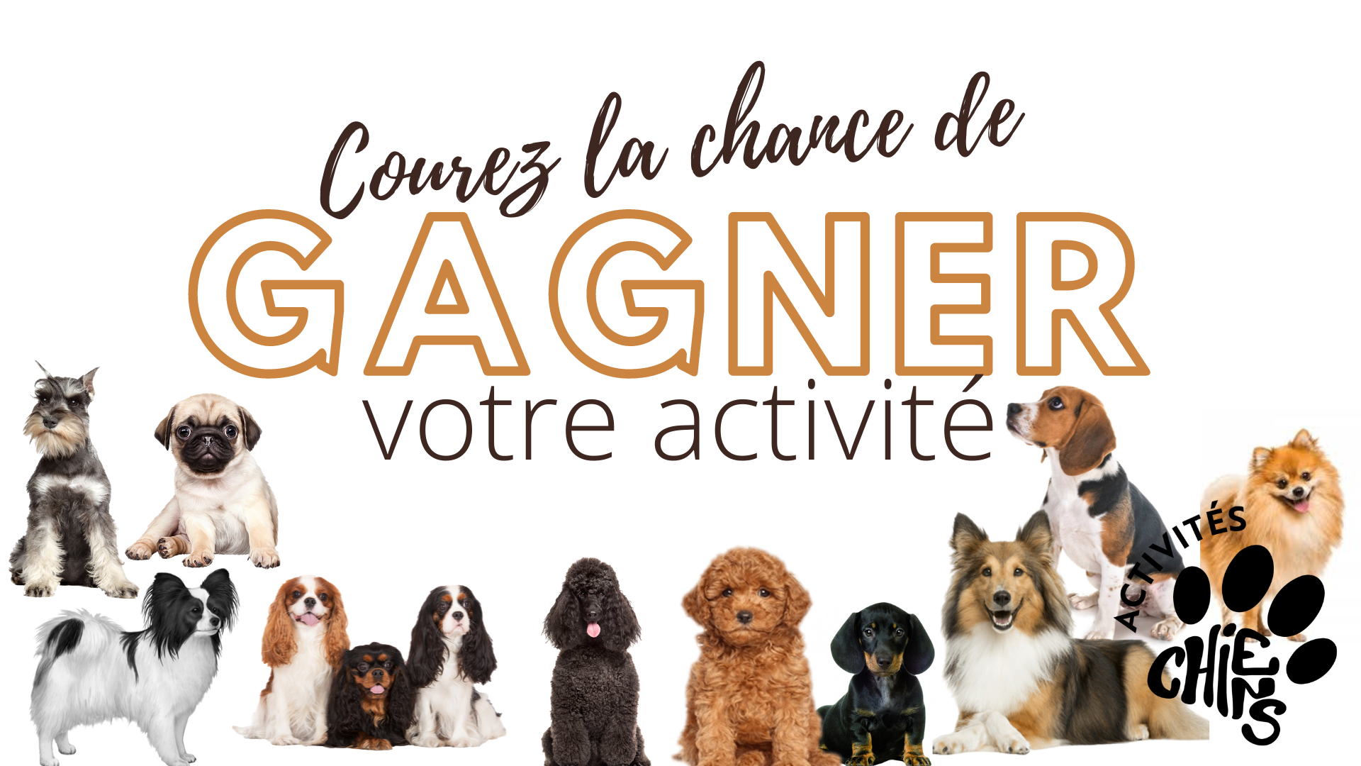 Concours gagner activite