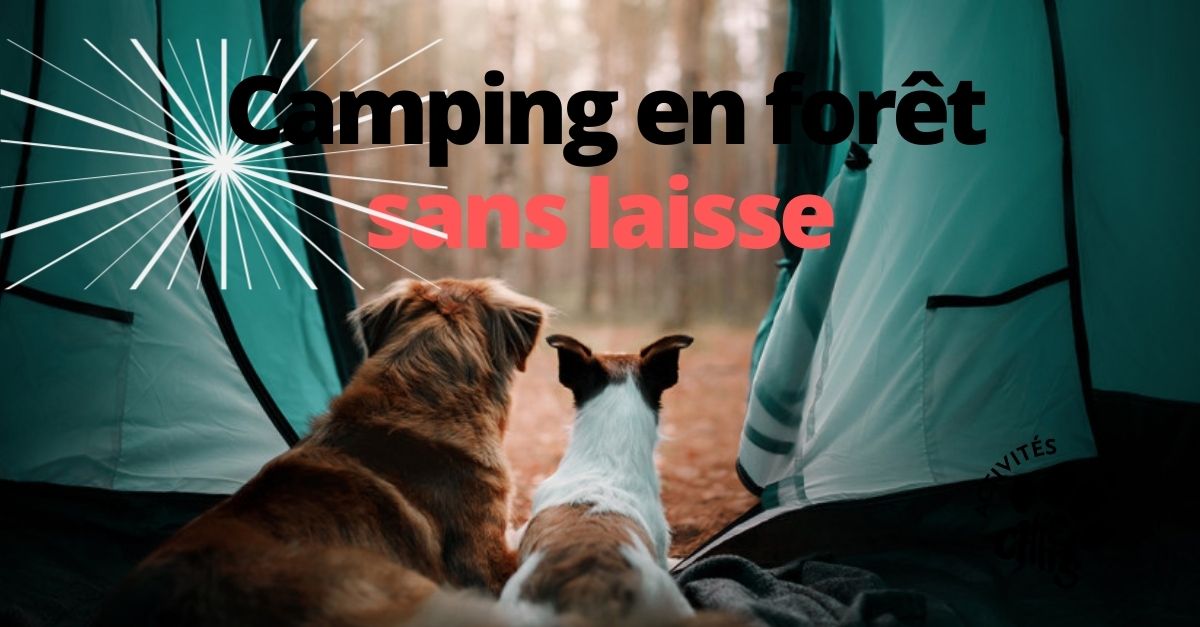 Camping en foret