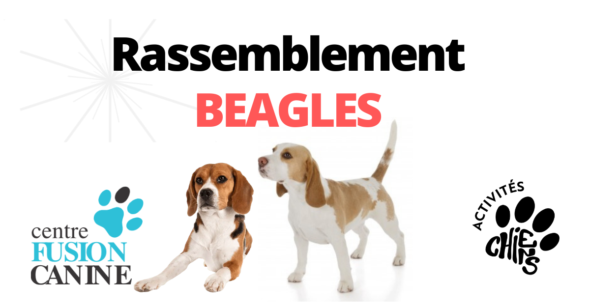 Fusion Beagles