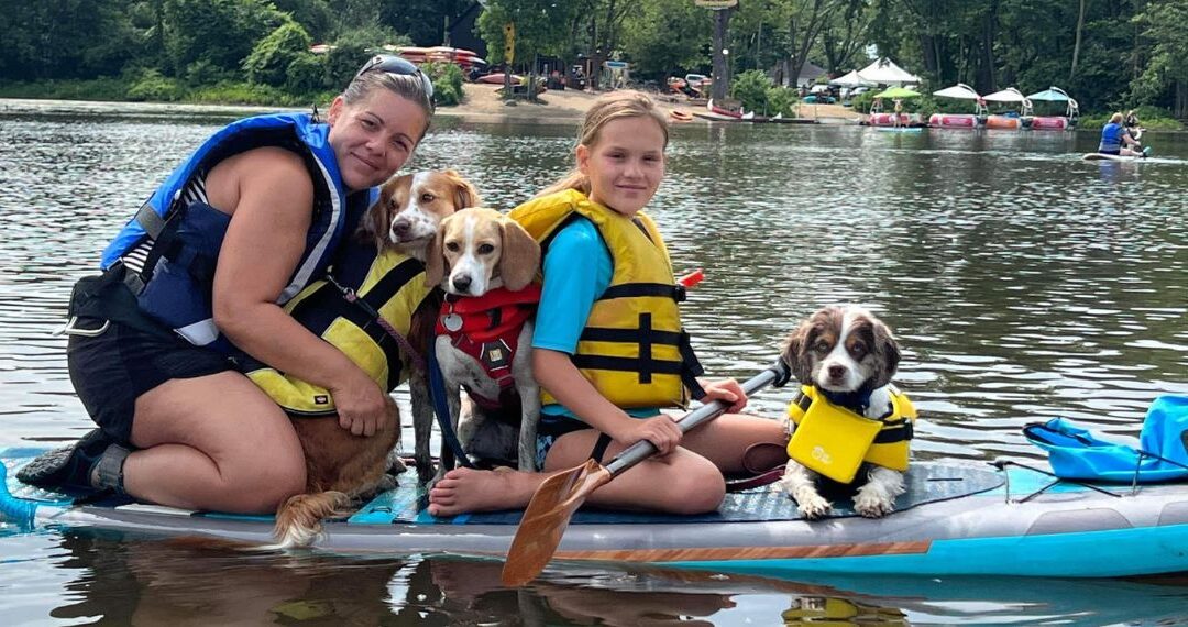 Canipaddle ou cani-paddle; Paddleboard pour chien