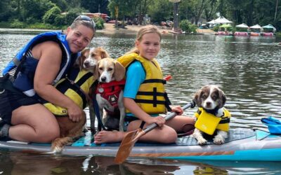 Canipaddle ou cani-paddle; Paddleboard pour chien